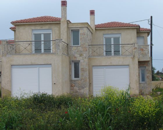 DSC03318 (2)