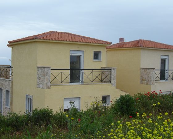 DSC03319