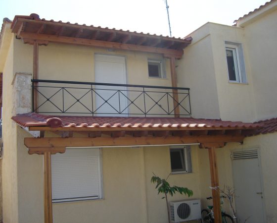 DSC03336 (2)