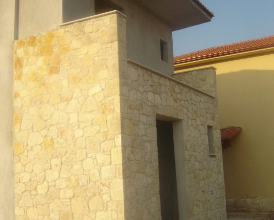 DSC03589 (2)