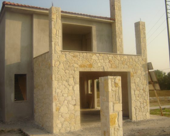 DSC03594 (2)
