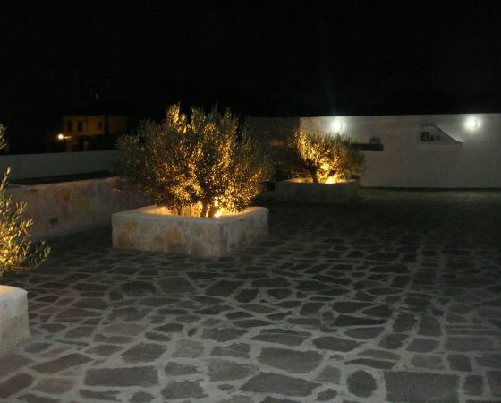DSC04631