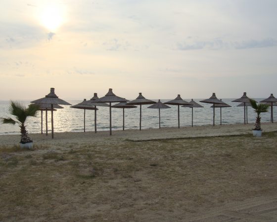 DSC04686